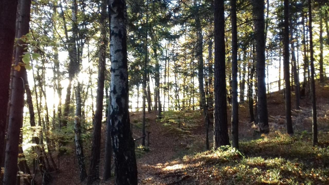 Ferienwohnung Johanna Sankt Georgen im Gailtal Екстериор снимка